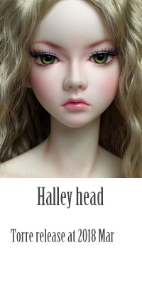 halley head.jpg