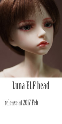 luna head.jpg